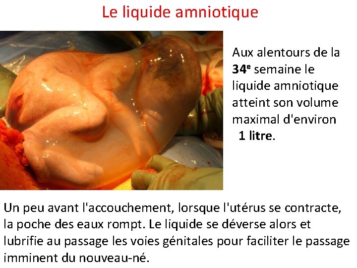 Le liquide amniotique Aux alentours de la 34 e semaine le liquide amniotique atteint