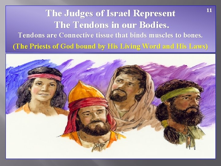 The Judges of Israel Represent The Tendons in our Bodies. 11 Tendons are Connective