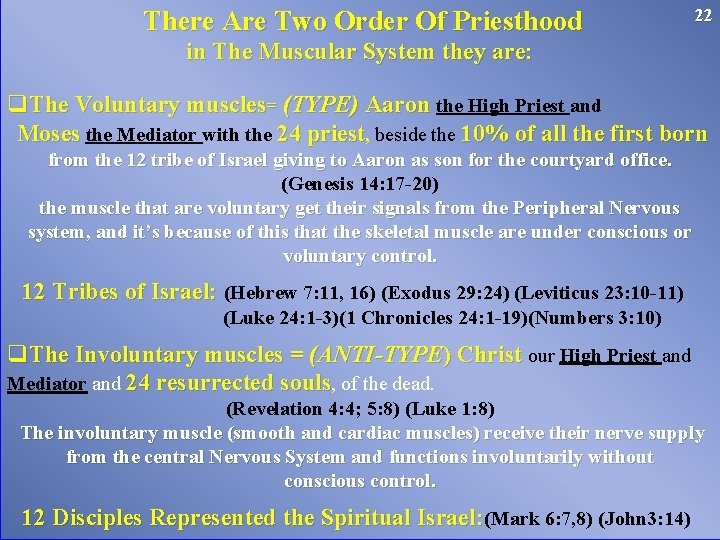 There Are Two Order Of Priesthood 22 in The Muscular System they are: q.