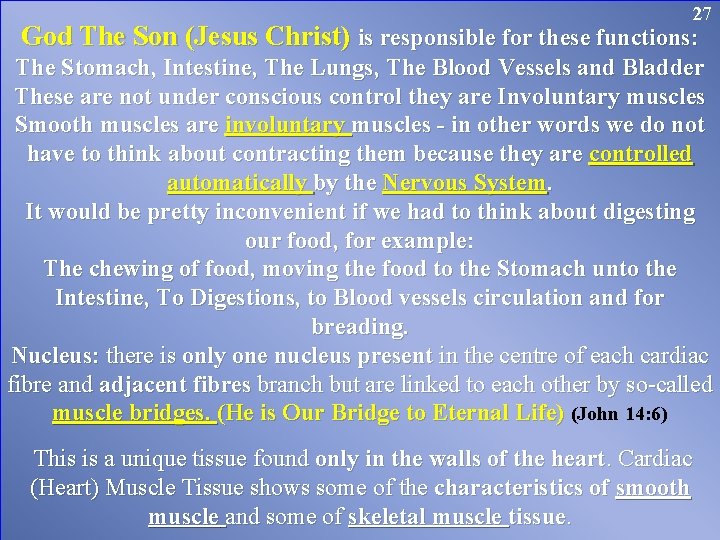 27 God The Son (Jesus Christ) is responsible for these functions: The Stomach, Intestine,