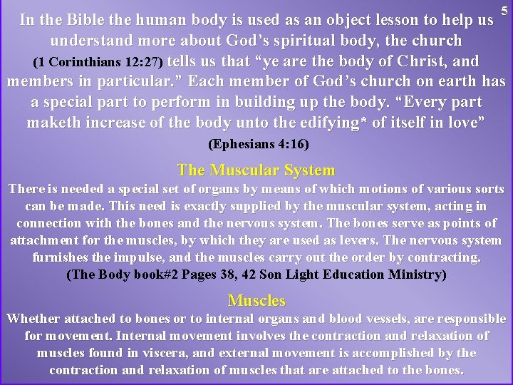 5 In the Bible the human body is used as an object lesson to