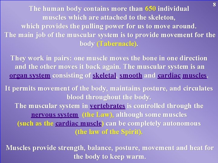 8 The human body contains more than 650 individual muscles which are attached to