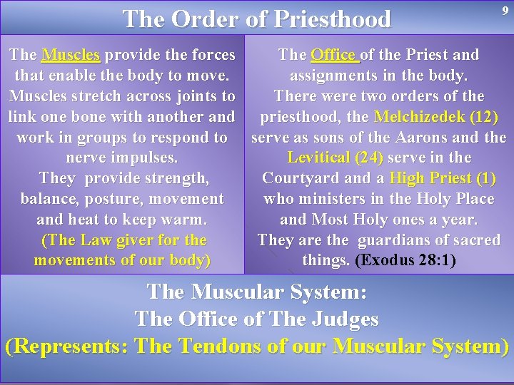 The Order of Priesthood 9 The Muscles provide the forces The Office of the