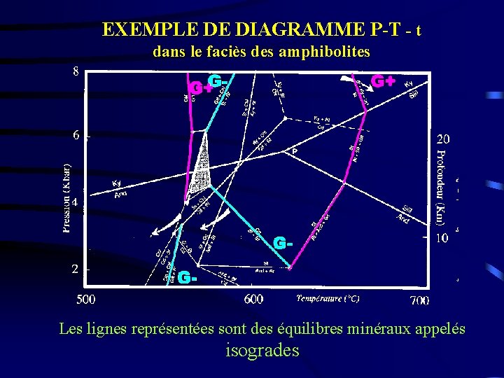 EXEMPLE DE DIAGRAMME P-T - t dans le faciès des amphibolites Les lignes représentées