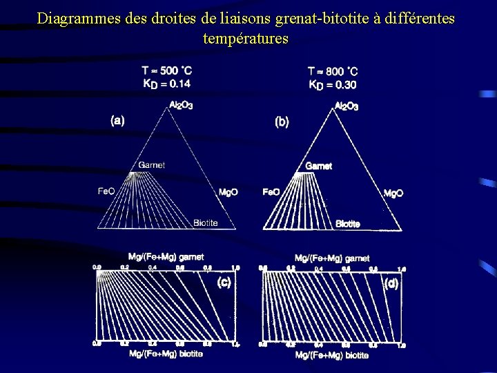 Diagrammes droites de liaisons grenat-bitotite à différentes températures 