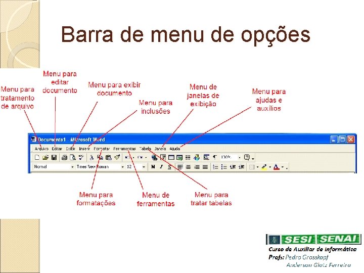 Barra de menu de opções 