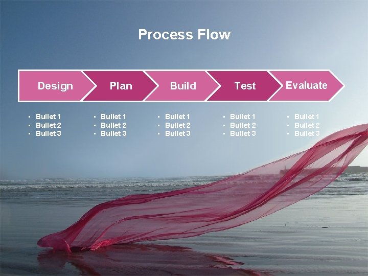 Process Flow Design • Bullet 1 • Bullet 2 • Bullet 3 Plan •