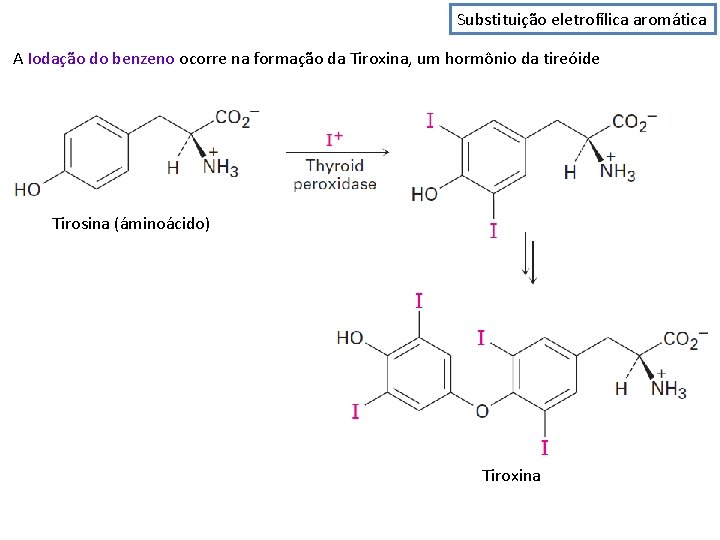 Substituição eletrofílica aromática A Iodação do benzeno ocorre na formação da Tiroxina, um hormônio