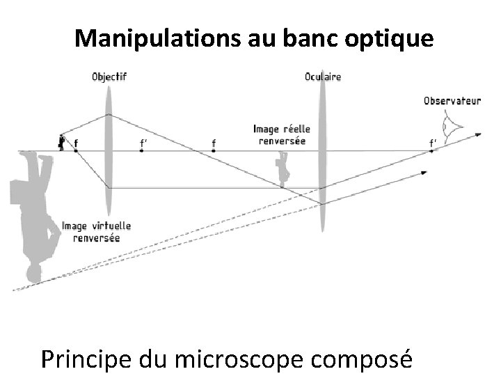 Manipulations au banc optique Principe du microscope composé 