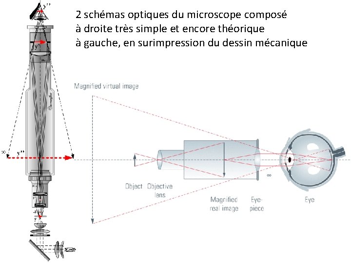 2 schémas optiques du microscope composé à droite très simple et encore théorique à