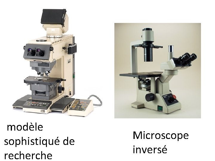  modèle sophistiqué de recherche Microscope inversé 