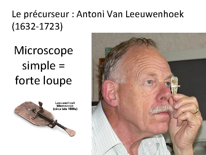 Le précurseur : Antoni Van Leeuwenhoek (1632 -1723) Microscope simple = forte loupe 