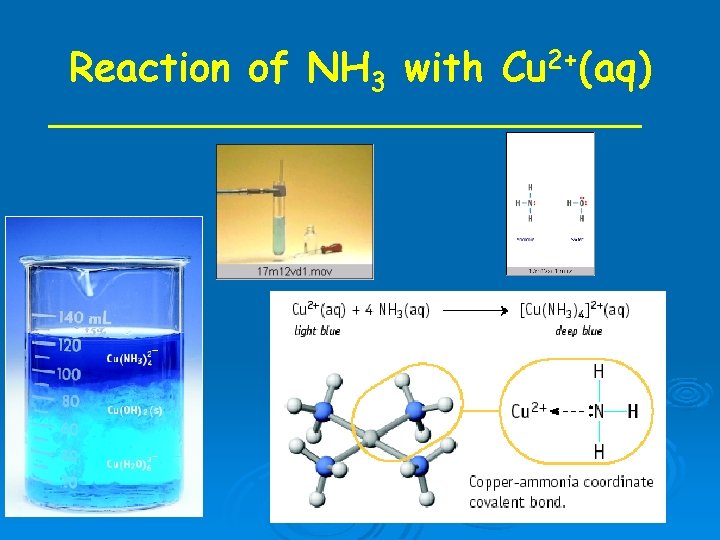 Reaction of NH 3 with Cu 2+(aq) 