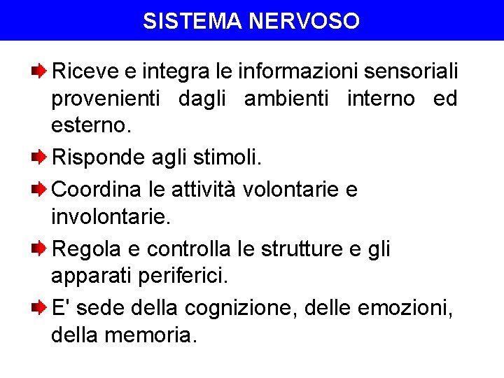 SISTEMA NERVOSO Riceve e integra le informazioni sensoriali provenienti dagli ambienti interno ed esterno.