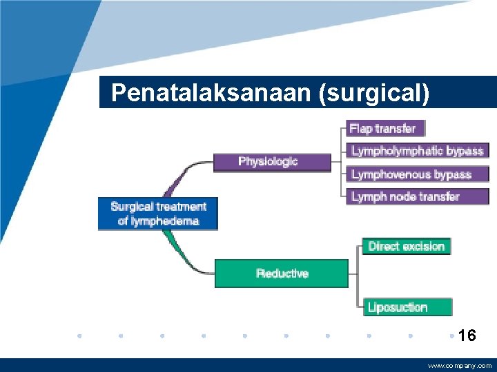 Penatalaksanaan (surgical) 16 www. company. com 
