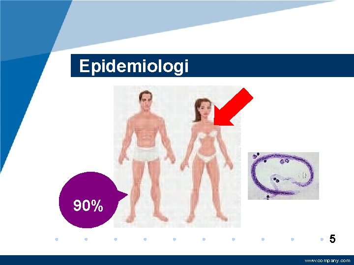 Epidemiologi 90% 5 www. company. com 