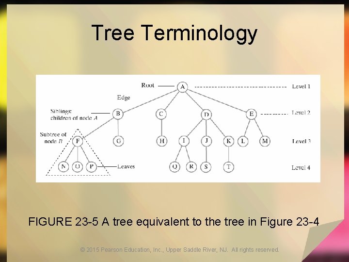 Tree Terminology FIGURE 23 -5 A tree equivalent to the tree in Figure 23