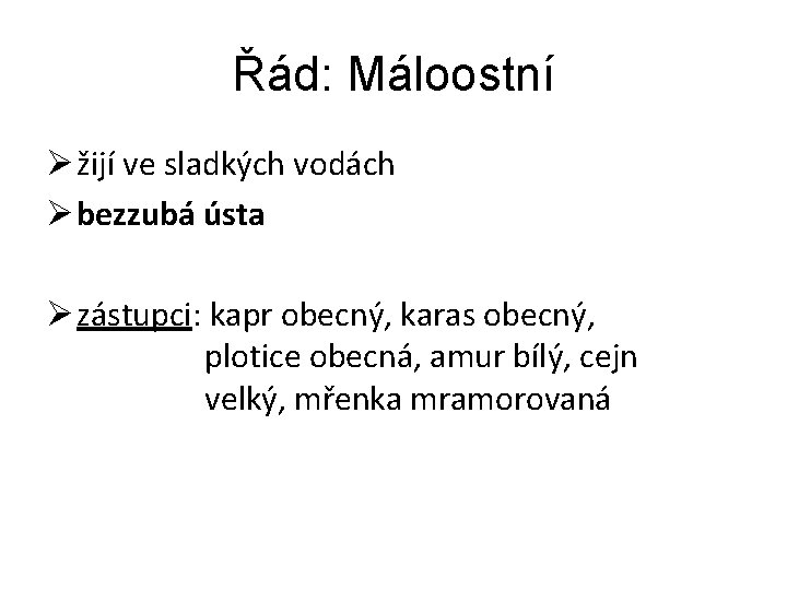 Řád: Máloostní Ø žijí ve sladkých vodách Ø bezzubá ústa Ø zástupci: kapr obecný,