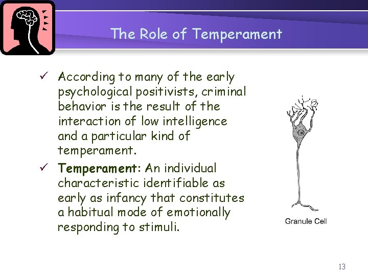 The Role of Temperament ü According to many of the early psychological positivists, criminal