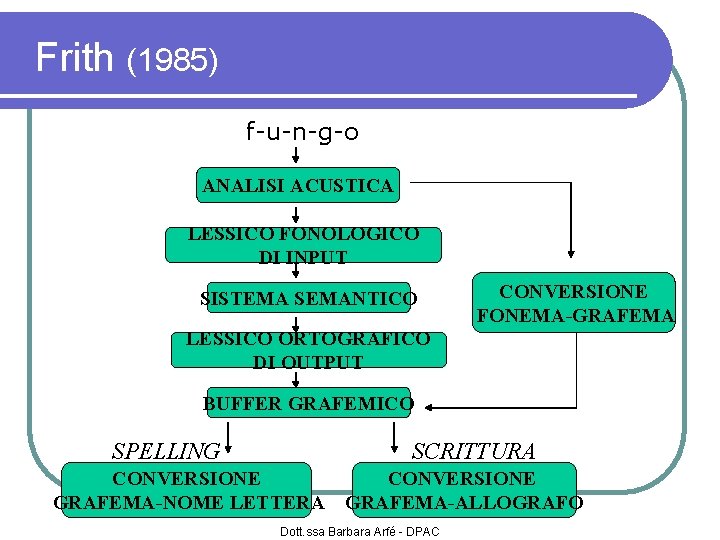 Frith (1985) f-u-n-g-o ANALISI ACUSTICA LESSICO FONOLOGICO DI INPUT SISTEMA SEMANTICO CONVERSIONE FONEMA-GRAFEMA LESSICO
