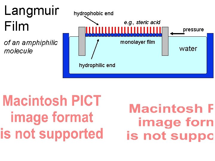 Langmuir Film hydrophobic end e. g. , steric acid pressure of an amphiphilic molecule