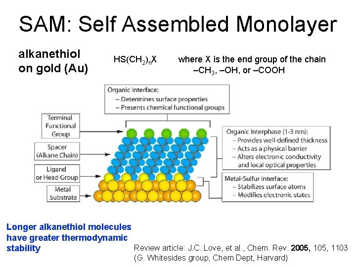 SAM: Self Assembled Monolayer alkanethiol on gold (Au) HS(CH 2)n. X where X is