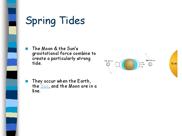 Spring Tides n The Moon & the Sun’s gravitational force combine to create a