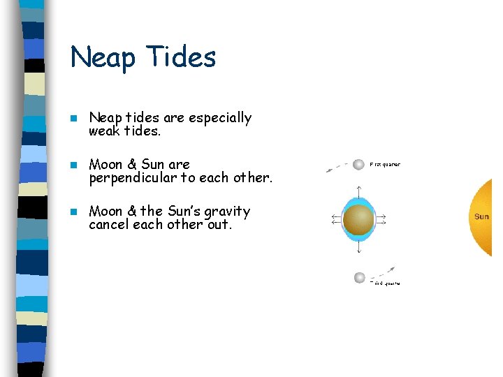 Neap Tides n Neap tides are especially weak tides. n Moon & Sun are