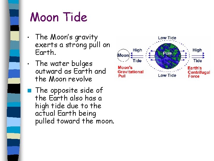 Moon Tide • The Moon’s gravity exerts a strong pull on Earth. • The