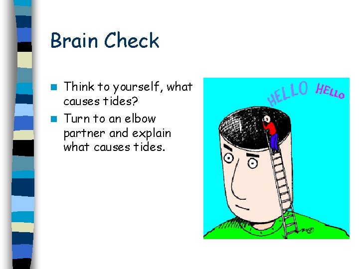 Brain Check Think to yourself, what causes tides? n Turn to an elbow partner