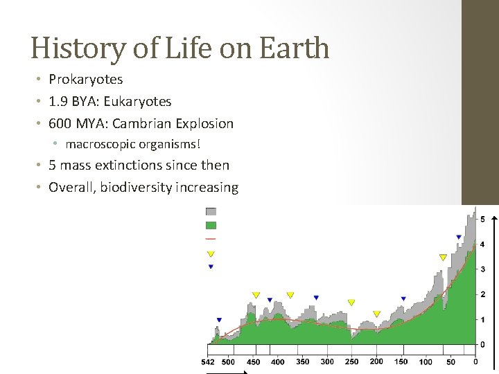 History of Life on Earth • Prokaryotes • 1. 9 BYA: Eukaryotes • 600