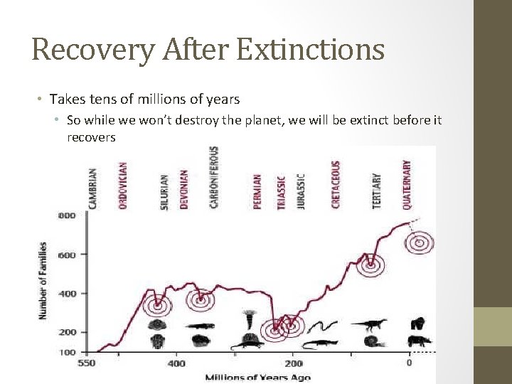 Recovery After Extinctions • Takes tens of millions of years • So while we