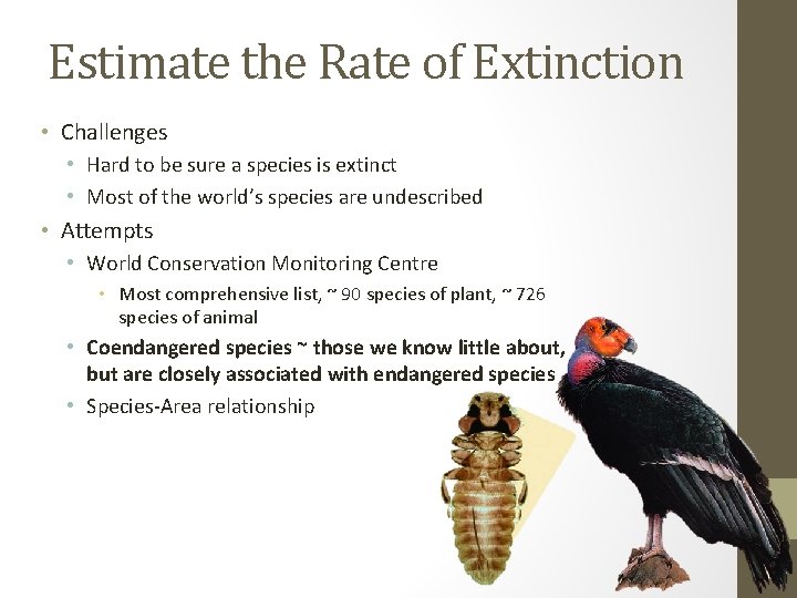 Estimate the Rate of Extinction • Challenges • Hard to be sure a species