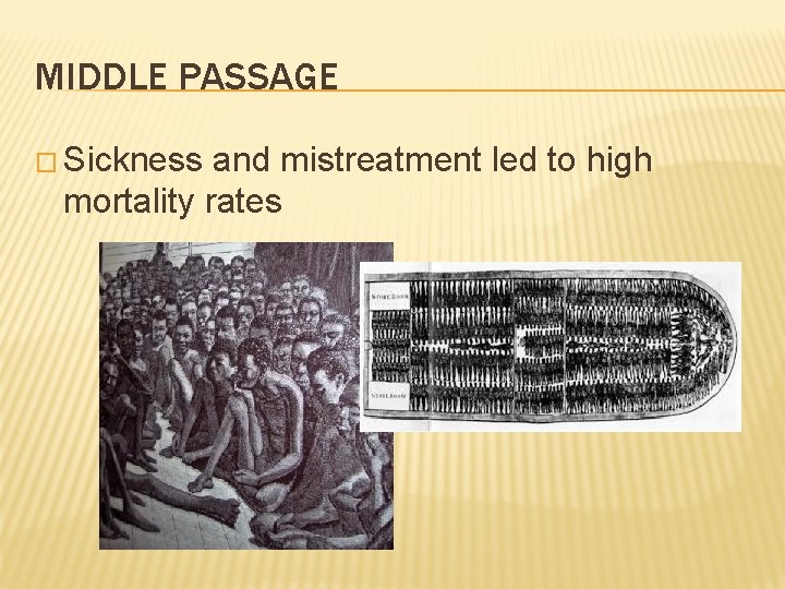MIDDLE PASSAGE � Sickness and mistreatment led to high mortality rates 