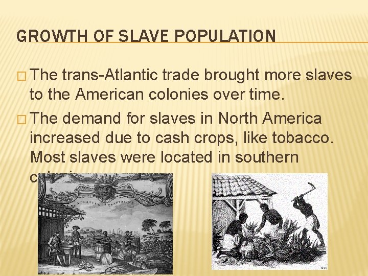 GROWTH OF SLAVE POPULATION � The trans-Atlantic trade brought more slaves to the American
