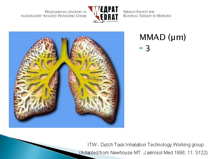 MMAD (µm) 3 ITW - Dutch Task Inhalation Technology Working group (Adapted from Newhouse