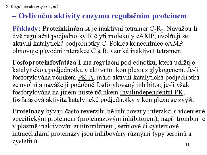 2 Regulace aktivity enzymů – Ovlivnění aktivity enzymu regulačním proteinem Příklady: Proteinkináza A je