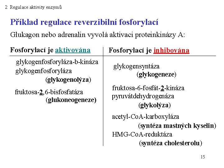 2 Regulace aktivity enzymů Příklad regulace reverzibilní fosforylací Glukagon nebo adrenalin vyvolá aktivaci proteinkinázy