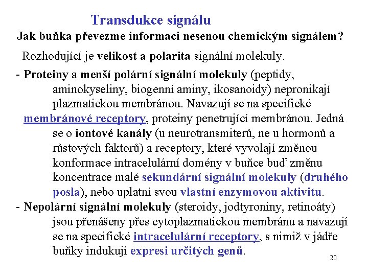 Transdukce signálu Jak buňka převezme informaci nesenou chemickým signálem? Rozhodující je velikost a polarita