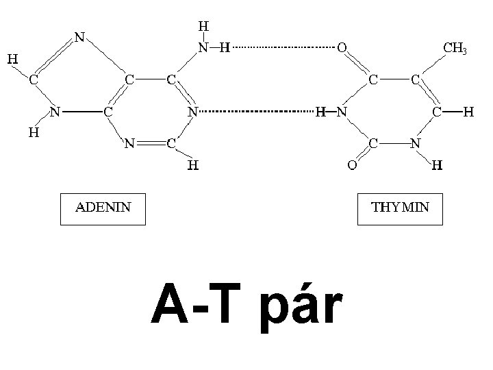 A-T pár 