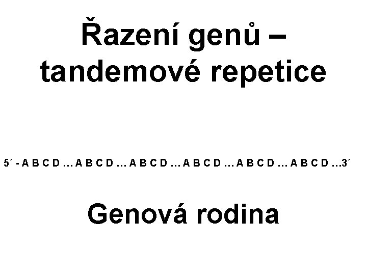 Řazení genů – tandemové repetice 5´ - A B C D … A B