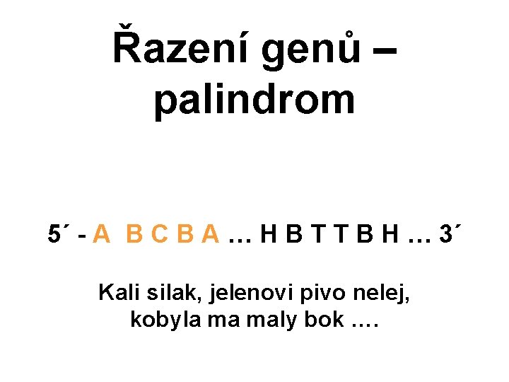 Řazení genů – palindrom 5´ - A B C B A … H B