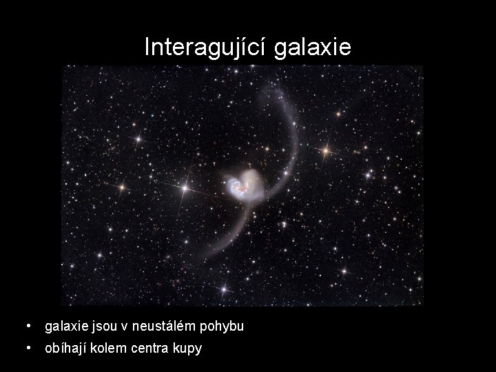 Interagující galaxie • galaxie jsou v neustálém pohybu • obíhají kolem centra kupy 