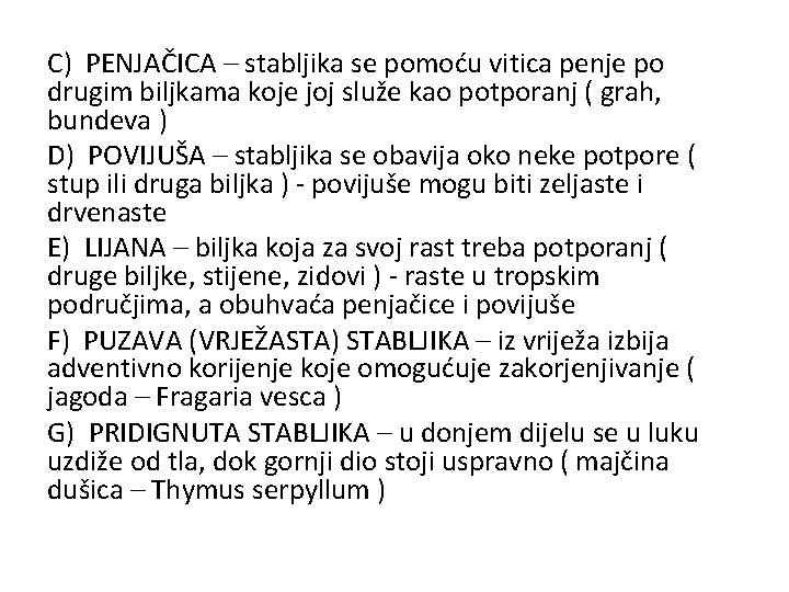 C) PENJAČICA – stabljika se pomoću vitica penje po drugim biljkama koje joj služe