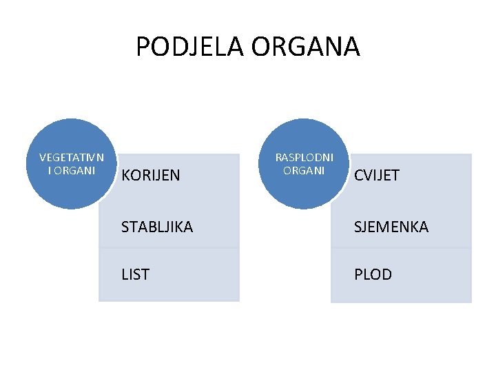 PODJELA ORGANA VEGETATIVN I ORGANI KORIJEN RASPLODNI ORGANI CVIJET STABLJIKA SJEMENKA LIST PLOD 