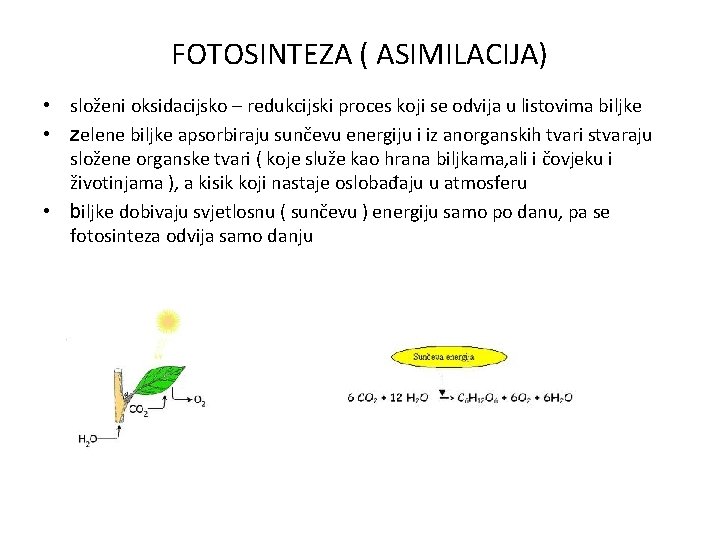 FOTOSINTEZA ( ASIMILACIJA) • složeni oksidacijsko – redukcijski proces koji se odvija u listovima