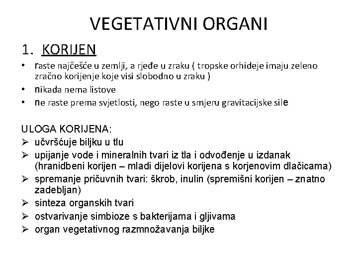 VEGETATIVNI ORGANI 1. KORIJEN • raste najčešće u zemlji, a rjeđe u zraku (