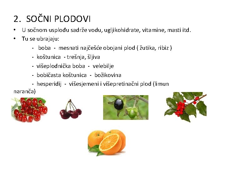 2. SOČNI PLODOVI • U sočnom usplođu sadrže vodu, ugljikohidrate, vitamine, masti itd. •