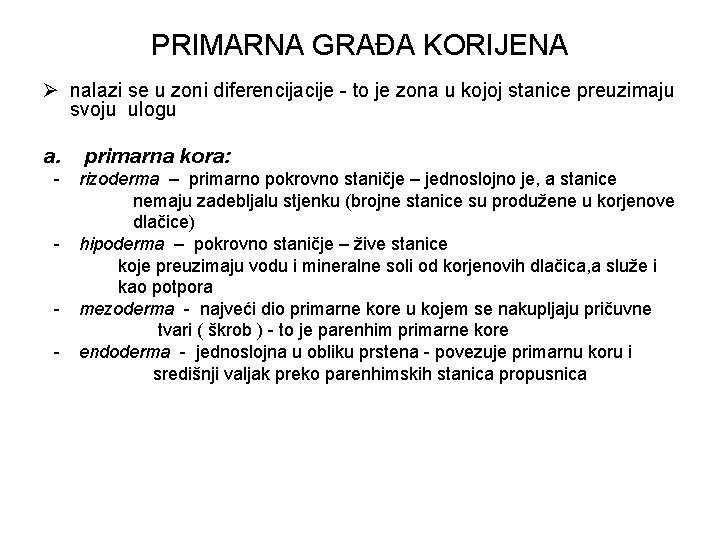 PRIMARNA GRAĐA KORIJENA Ø nalazi se u zoni diferencijacije - to je zona u