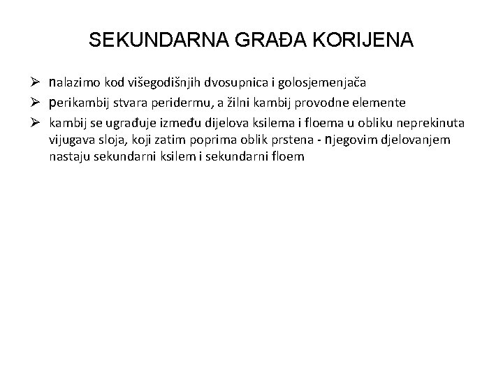 SEKUNDARNA GRAĐA KORIJENA Ø nalazimo kod višegodišnjih dvosupnica i golosjemenjača Ø perikambij stvara peridermu,